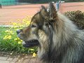 filou 21 (18)